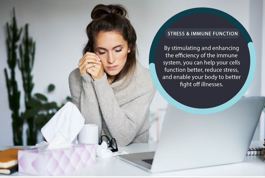 584c7d d247 bb57 27c0 0670a686582 webslide 02